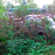 Image for article titled One Year Later, Michigan Man Ordered to Sell 20 Cars a Month Is Out 160 Cars but Remains Upbeat